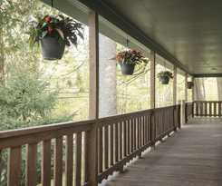 Forest Hill Lodge and Cabins