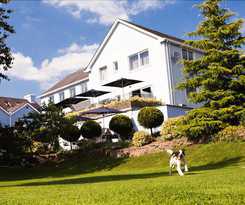 Hotel The Plough Rhosmaen