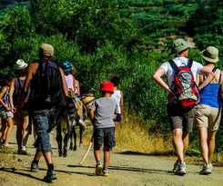 Hotel Enagron Cretan Ecotourism Village