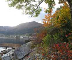 B&B Dragsvik Fjordhotel