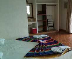 Safari Inn