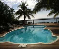Coconut Tree West Bay