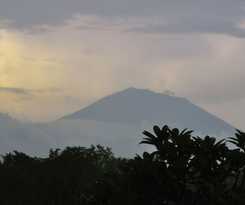 Bunga Permai