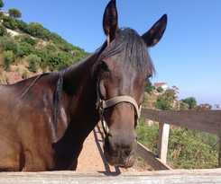 Hotel Rural Agriturismo Santa Margherita