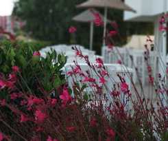 Cicek Apart Hotel
