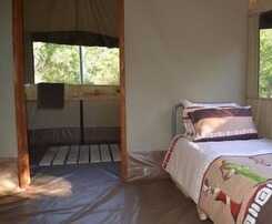 Hotel Wild Olive Tree Camp