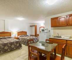 Suites Poliforum Inn