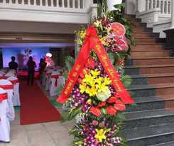 Dream Vinh Hoa