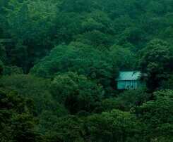 Hotel Wayanad Wild Rainforest lodge by CGH Earth