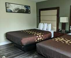 Hotel Knights Inn Bracebridge