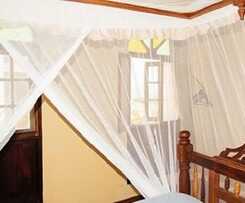 Abuso Inn