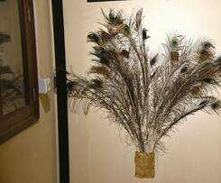 Hotel Nirvana Suites