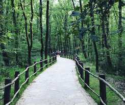  Arteria Family Residence and Suit Hotel