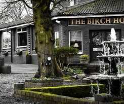 Birch
