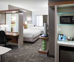 Hotel Springhill Suites By Marriott Orlando At Seaworld