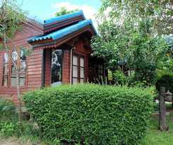 Hotel Big Tree Resort