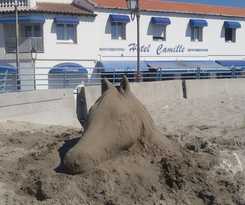 Camille