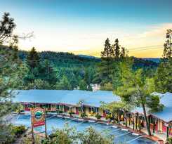Hotel Idyllwild Bunkhouse