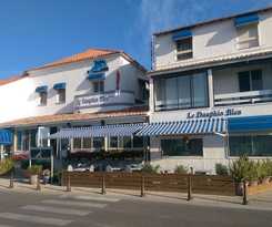 Hotel H&ocirc;tel Le Dauphin Bleu