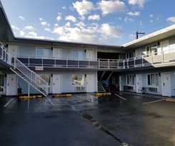 Hotel Ace Motel