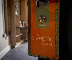 Hotel67