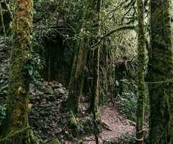 Hotel Trogon Lodge