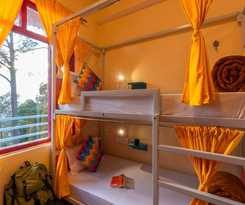 Hotel goSTOPS Kasar Devi - Hostel