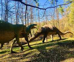 Hotel Baumhotel Styrassic Park