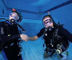 Camel Dive Club and