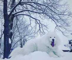 Hotel Willa Dąbr&oacute;wka