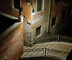 La Fenice Et Des Artistes