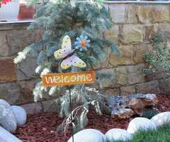 Aurora Guest House