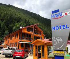  Hayat Rose Hotel