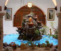 Hotel David