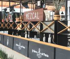 Mexico Hostel