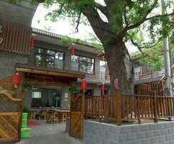 Beijing Great Wall Xi Shui Yu Cun Li Bao Zhong Homestay