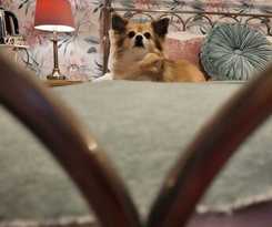 Hotel All Seasons Boutiques