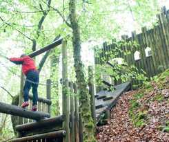 Yurtcamp Devon