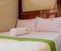 Hotel Palm Gardens and Guest House