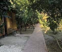  Olympos Varuna Pension