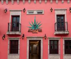 Hotel Nueve Agaves