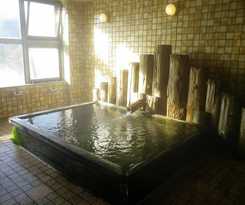 Hotel Kurumizawa Ryokan