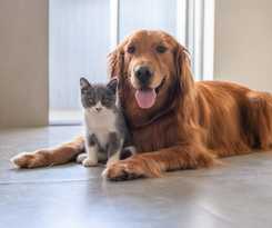 B&B Arras Centre Les Places