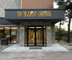 Hotel Daisy