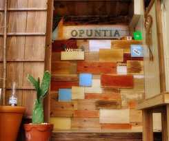 Guesthouse Opuntia - Hostel