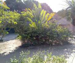 Hotel Campement Asseb