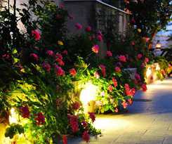 Hotel Twin House