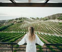 Hotel Gillham Vineyard