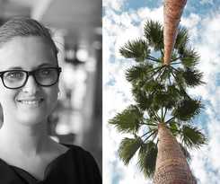 Hotel Hotel Mercure Hyeres Centro