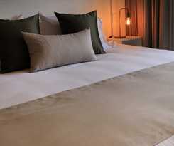 Singular Dream Vacation Rentals